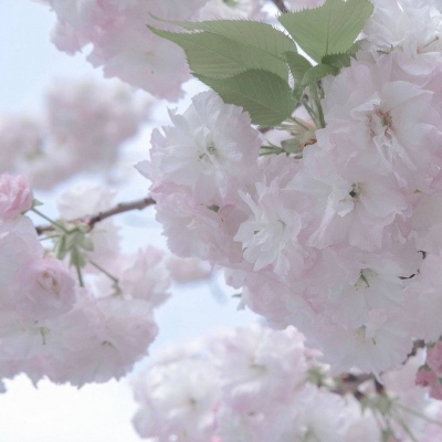 册亨FurryQQ群介绍